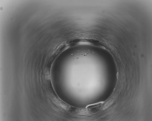 X0000064770384200602131323