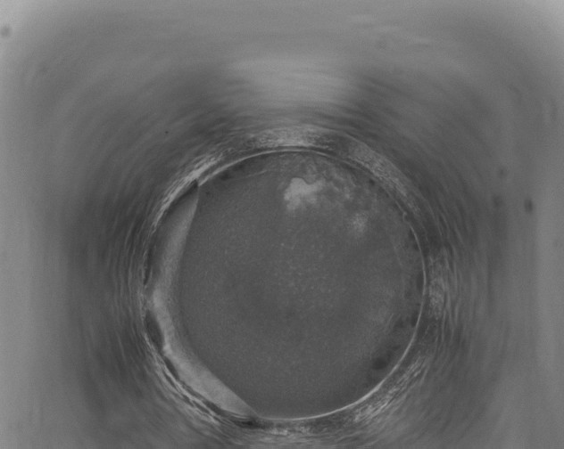 X0000064770386200602131322