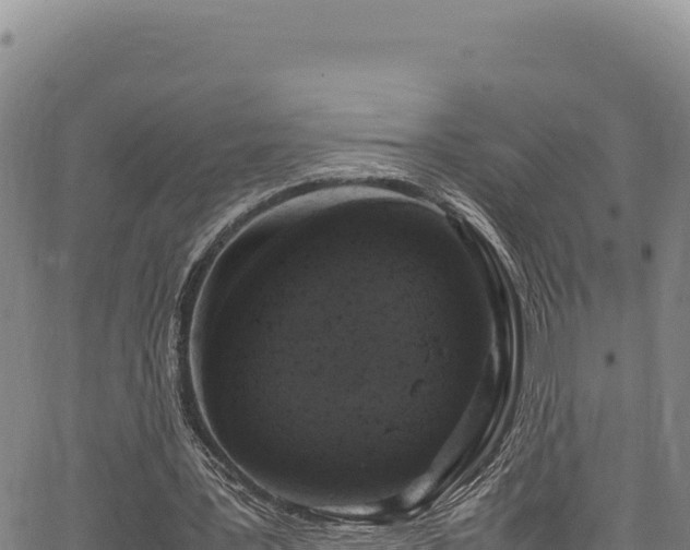 X0000064770387200602131322