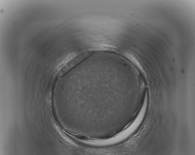 X0000064770389200602131322