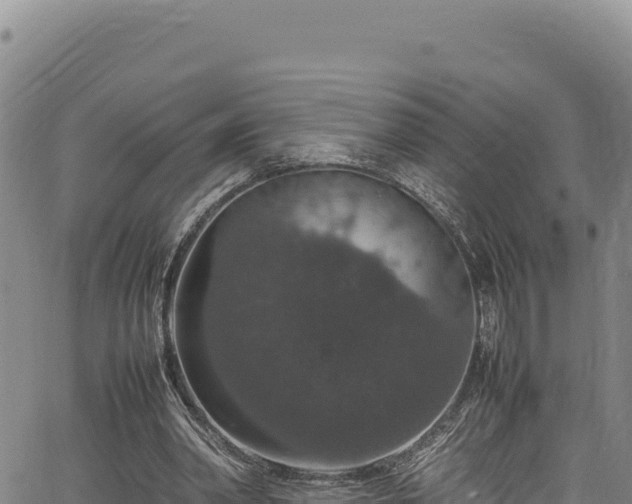 X0000064770390200602131322