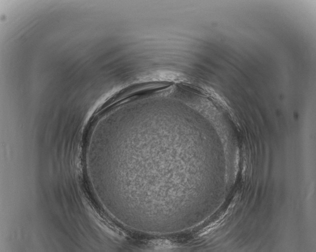 X0000064770392200602131322