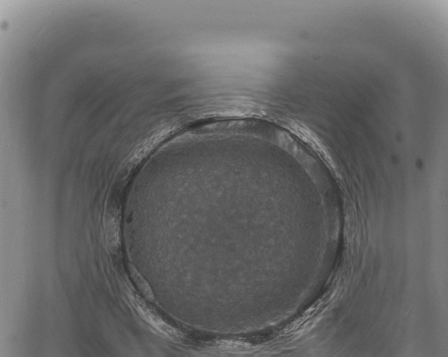 X0000064770393200602131322