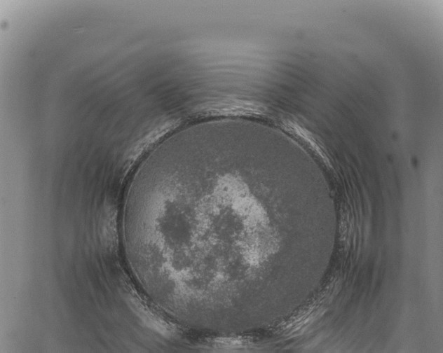 X0000064770394200602131322