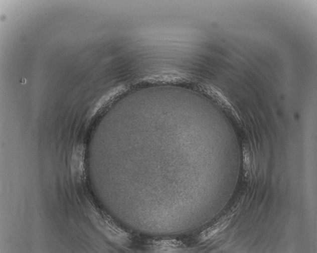 X0000064770396200602131322