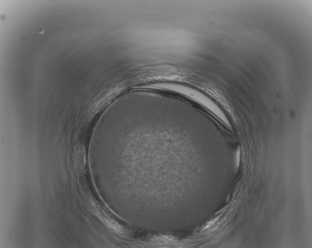 X0000064770397200602131322