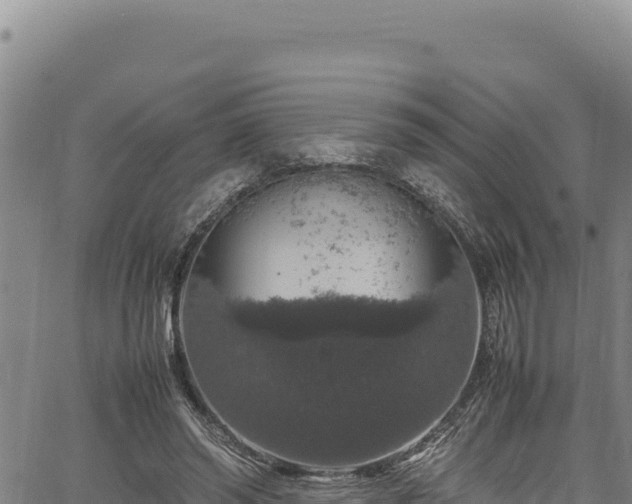 X0000064770398200602131322