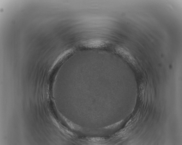 X0000064770400200602131322