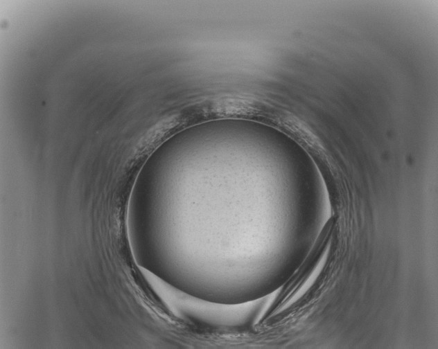 X0000064770401200602131321