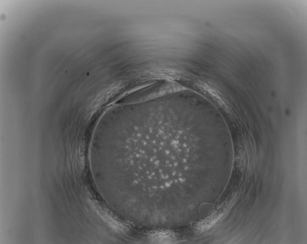 X0000064770402200602131321