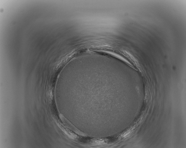 X0000064770405200602131321