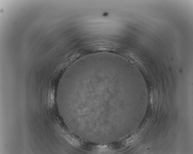 X0000064770406200602131321