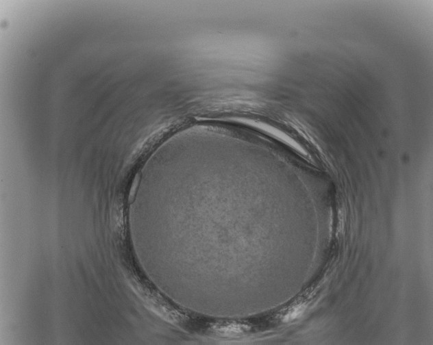 X0000064770407200602131321