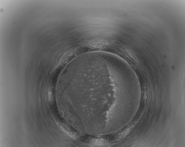 X0000064770408200602131321