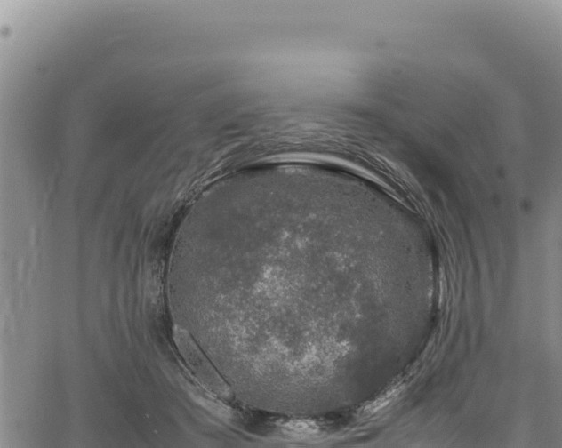 X0000064770409200602131321