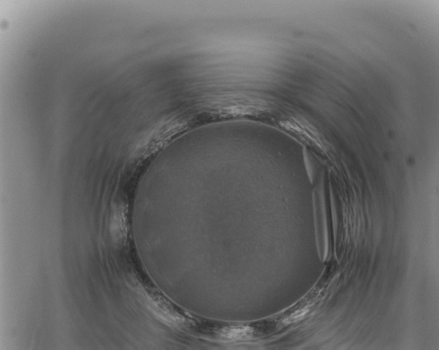 X0000064770410200602131321