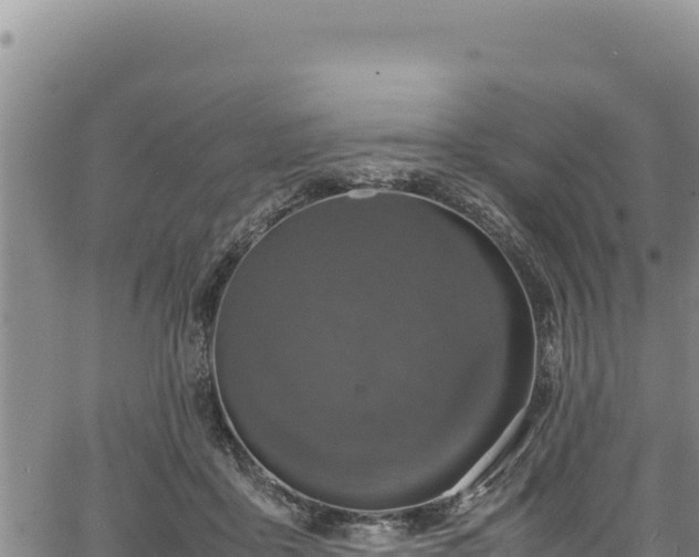 X0000064770411200602131321