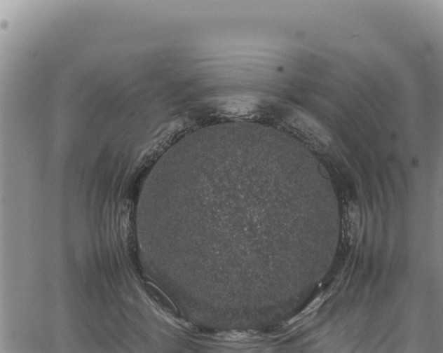 X0000064770412200602131321