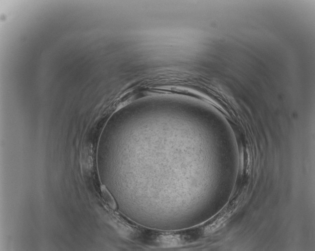 X0000064770413200602131321