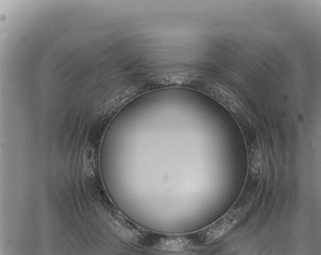 X0000064770414200602131321