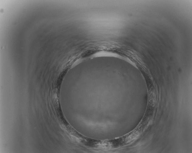 X0000064770415200602131321