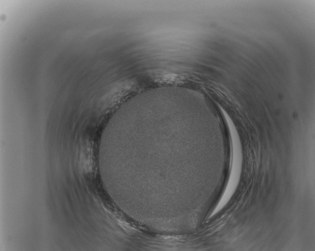 X0000064770416200602131321