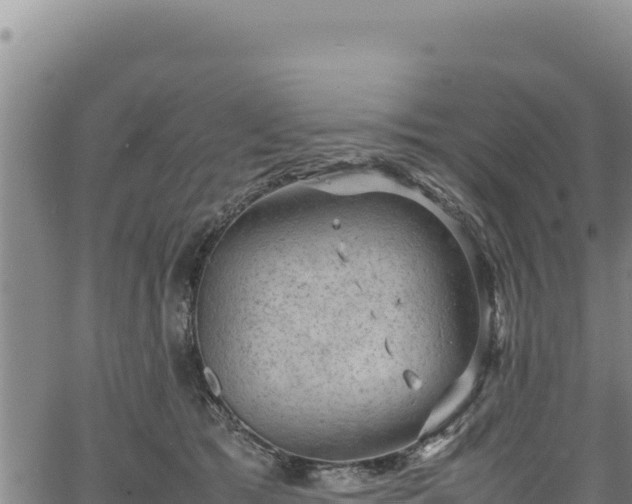 X0000064770417200602131321