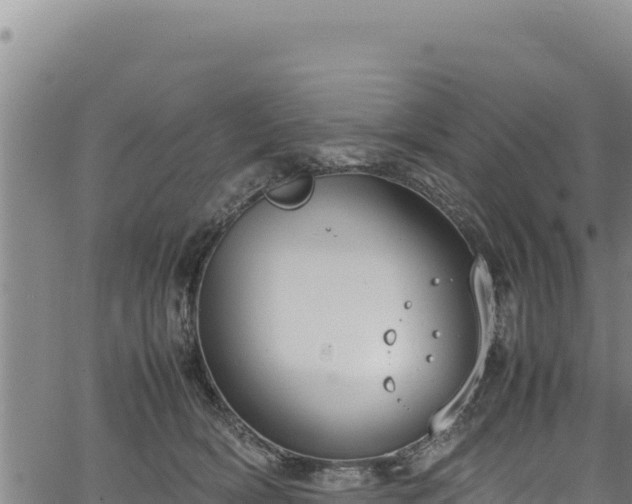 X0000064770418200602131321