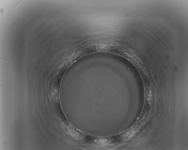 X0000064770419200602131321