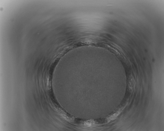 X0000064770420200602131321