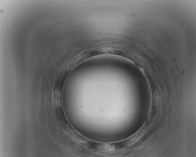 X0000064770421200602131321