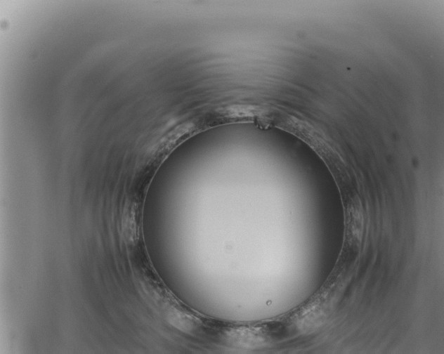 X0000064770422200602131321