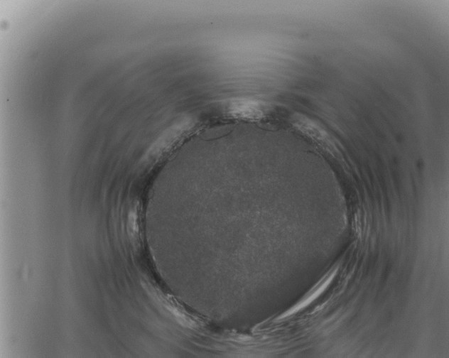 X0000064770424200602131321