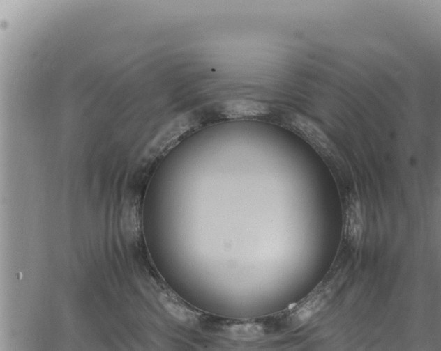 X0000064770426200602131321