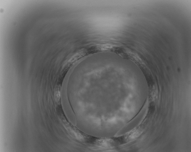 X0000064770427200602131321