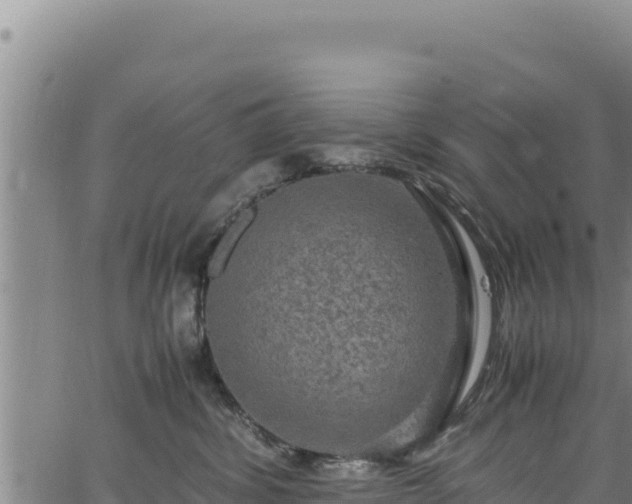 X0000064770428200602131321