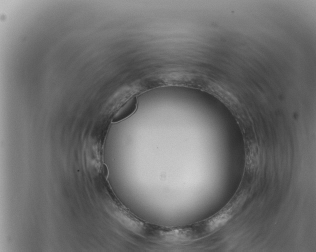 X0000064770430200602131321