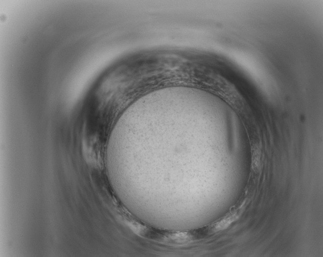 X0000064770431200602131321