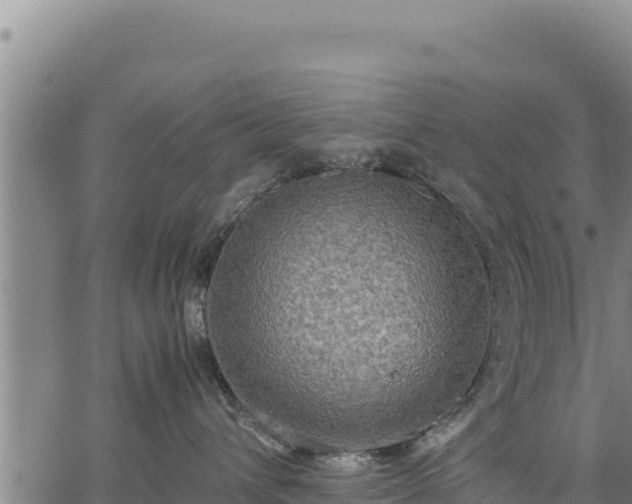 X0000064770432200602131321