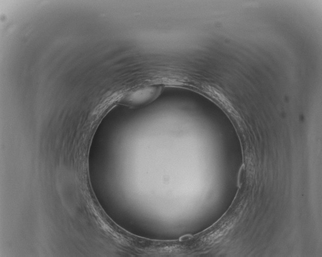 X0000064770433200602131320