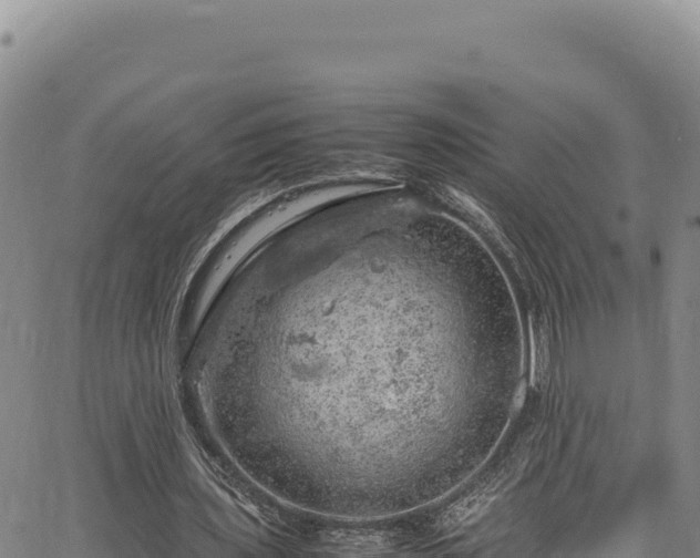 X0000064770435200602131320