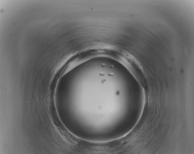 X0000064770436200602131320