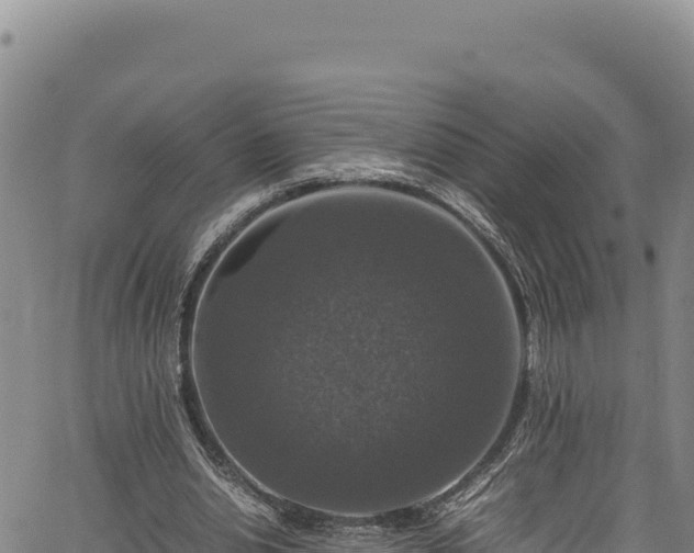 X0000064770438200602131320