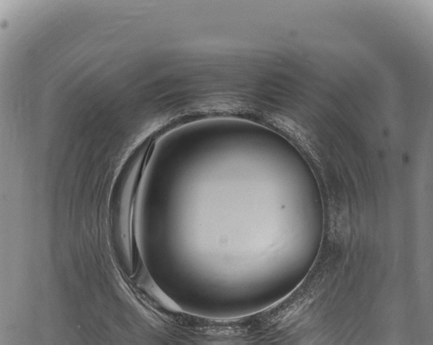 X0000064770439200602131320