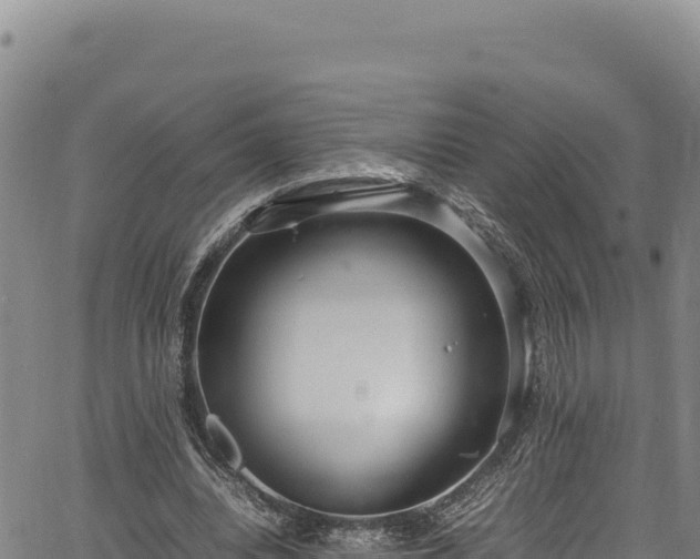 X0000064770440200602131320