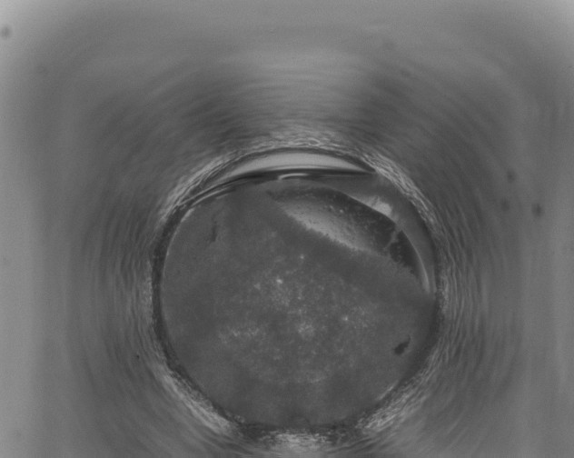 X0000064770442200602131320