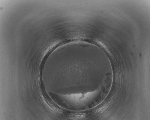 X0000064770443200602131320