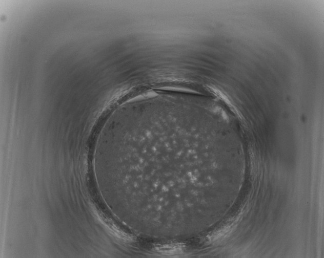 X0000064770447200602131320