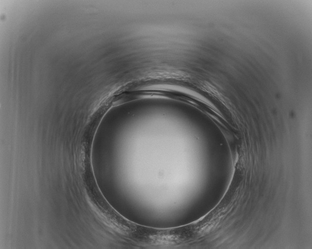 X0000064770448200602131320