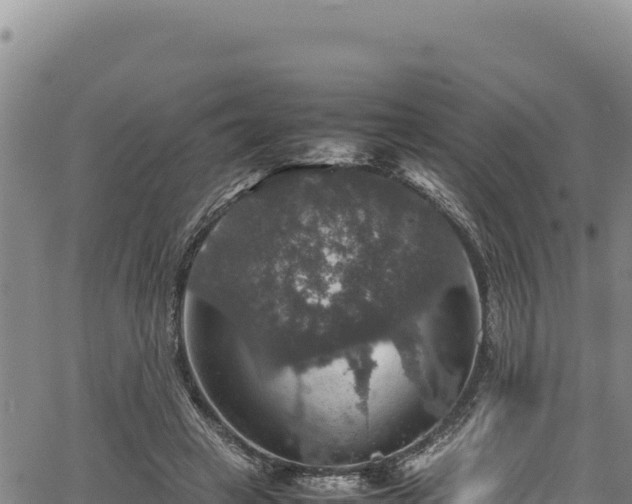 X0000064770449200602131320